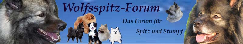 Wolfsspitz-Forum, das Forum für Wolfs- und andere Spitze. - Powered by vBulletin